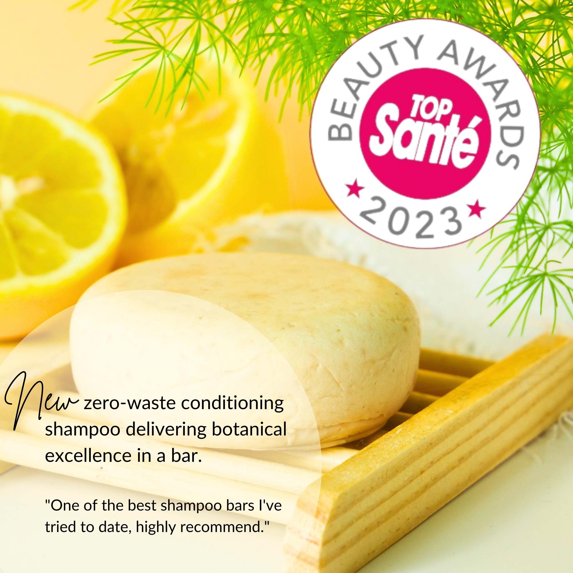 Camellia, Kokum and Lemon Conditioning Shampoo Bar