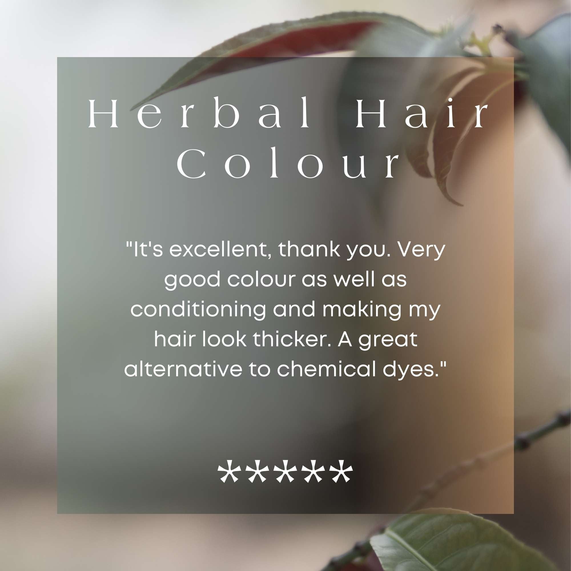 It's Pure Organics Hair Colour Very Dark Brown