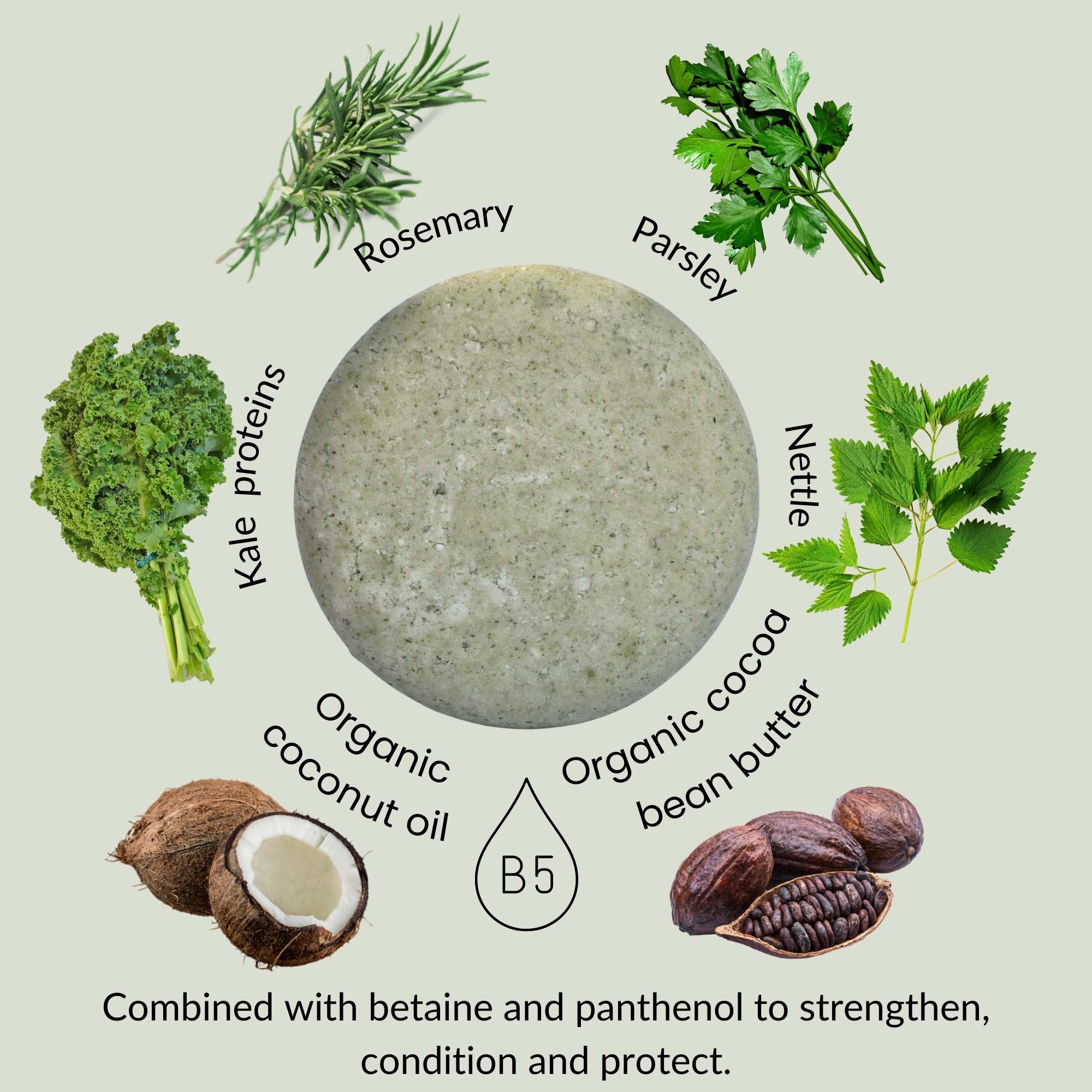 Parsley, Kale, Rosemary & Shine Shampoo Bar