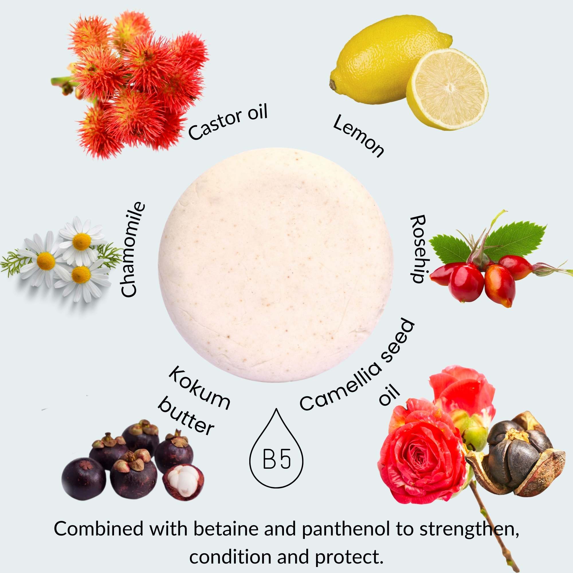 Camellia, Kokum and Lemon Conditioning Shampoo Bar