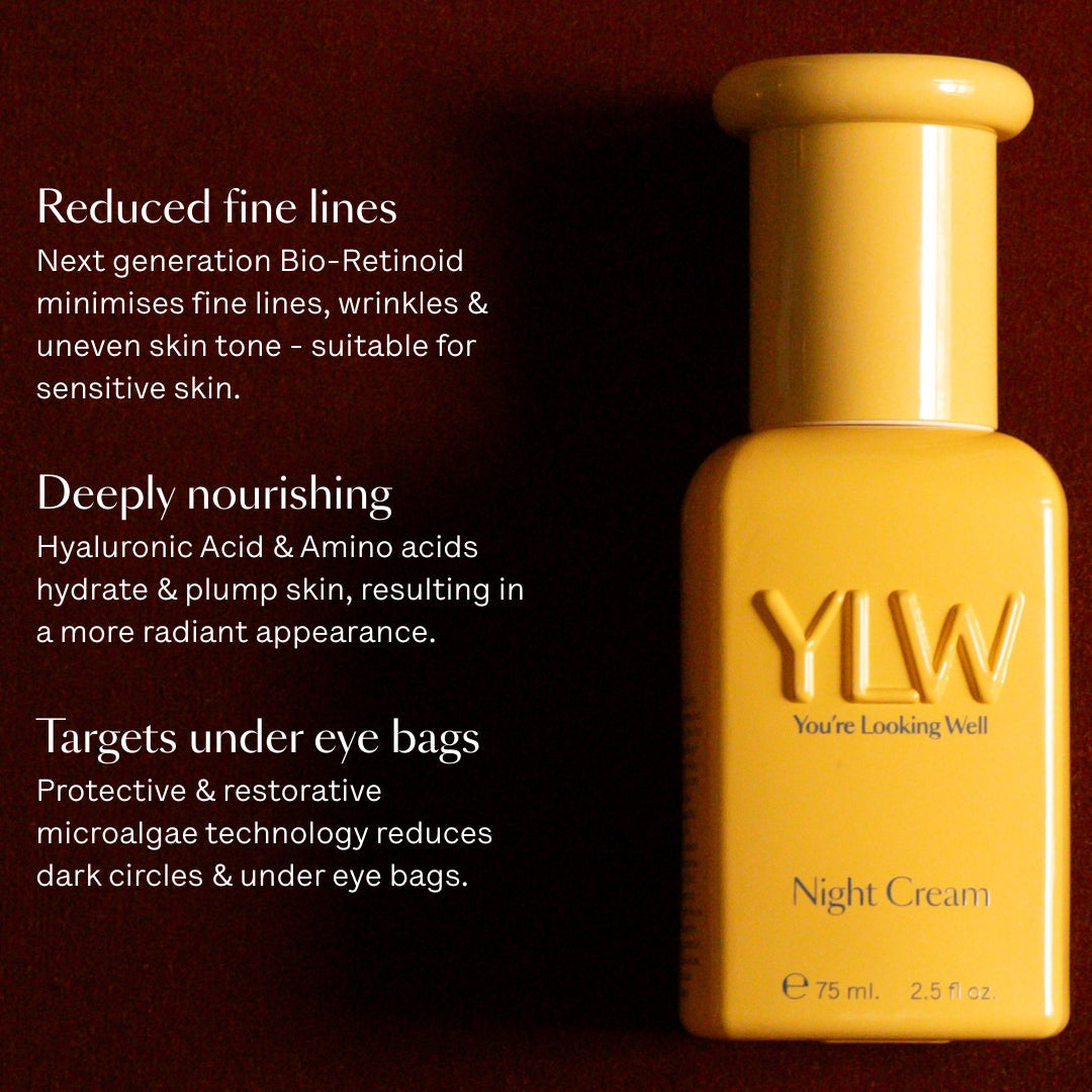 Night Cream