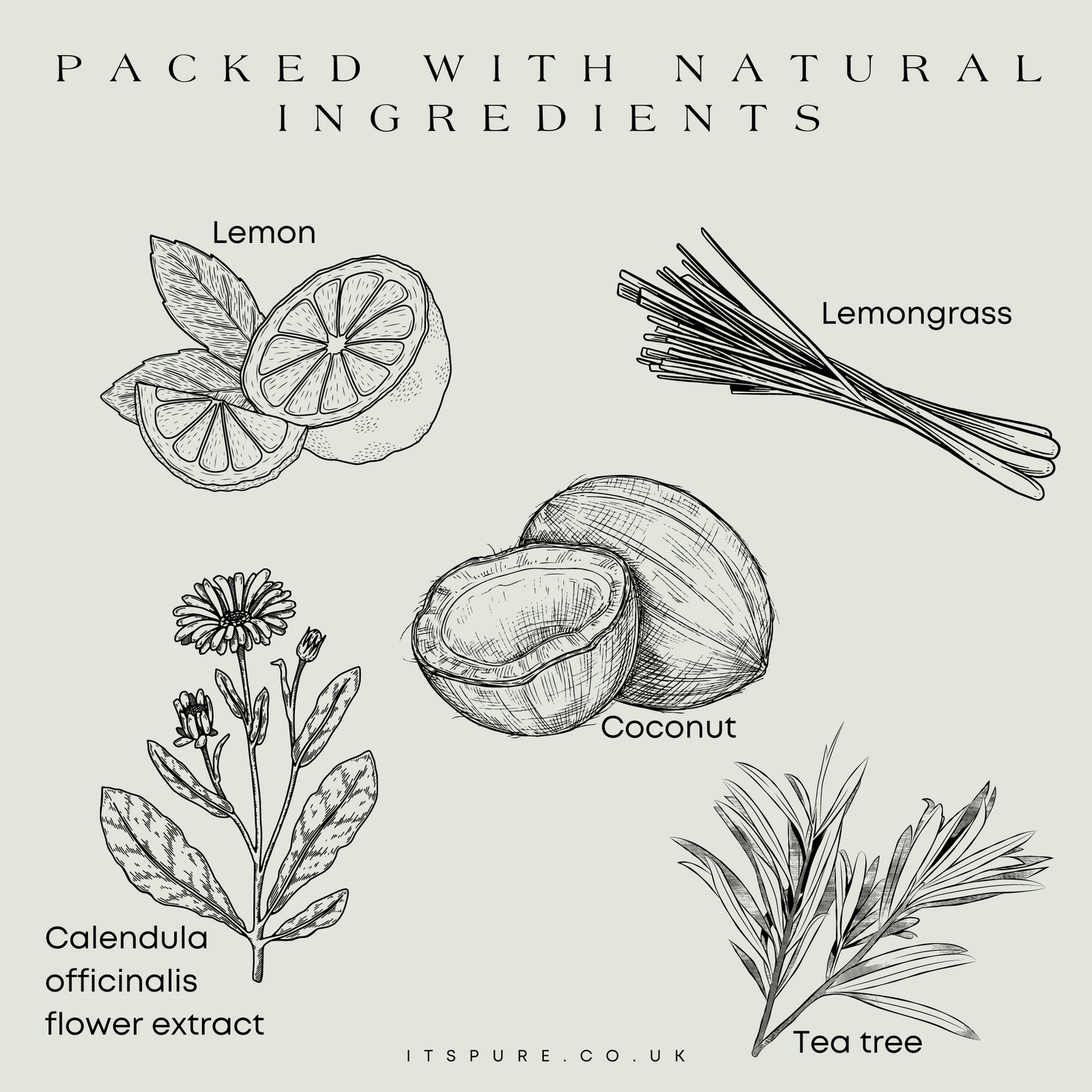 It's Pure Organics Clarifying Pre Colour Treatment