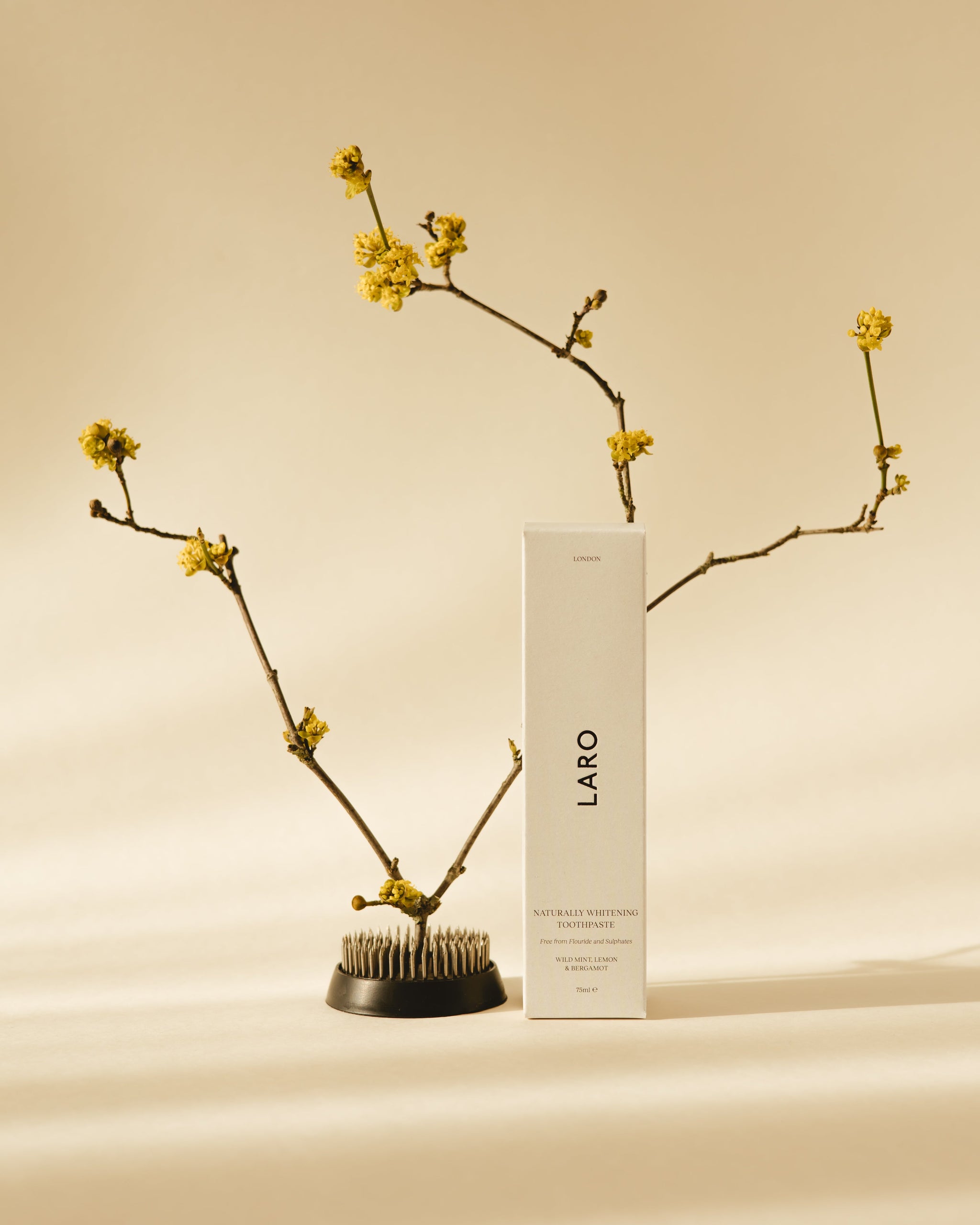 Naturally Whitening Toothpaste