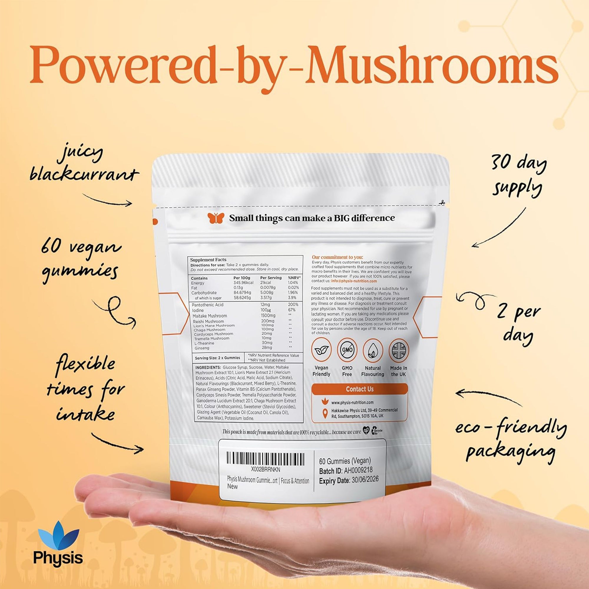 Physis Mushroom Gummies Complex - 60 x Juicy Blackcurrant