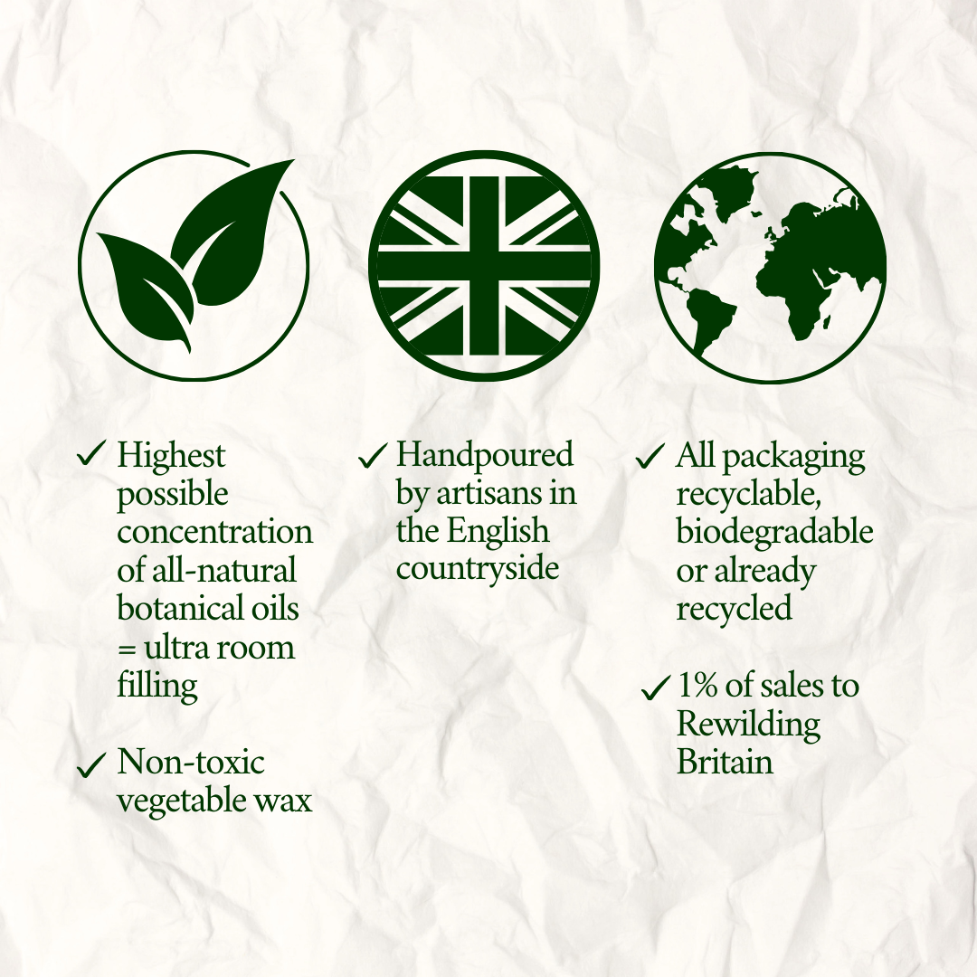 Orange, Cinnamon & Frankincense Single-Wick Golden Scented Candle