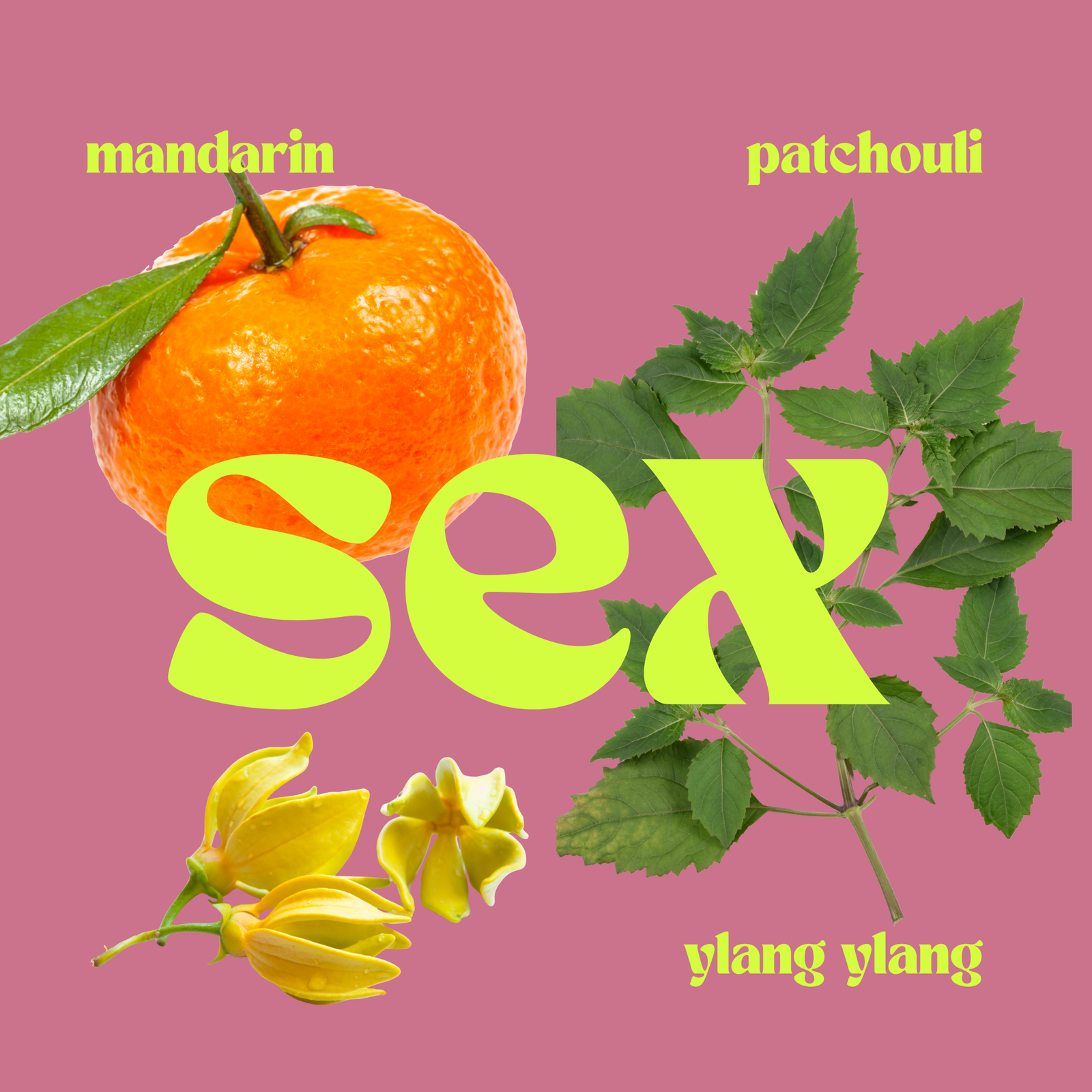 SEX: The Seductive  Candle