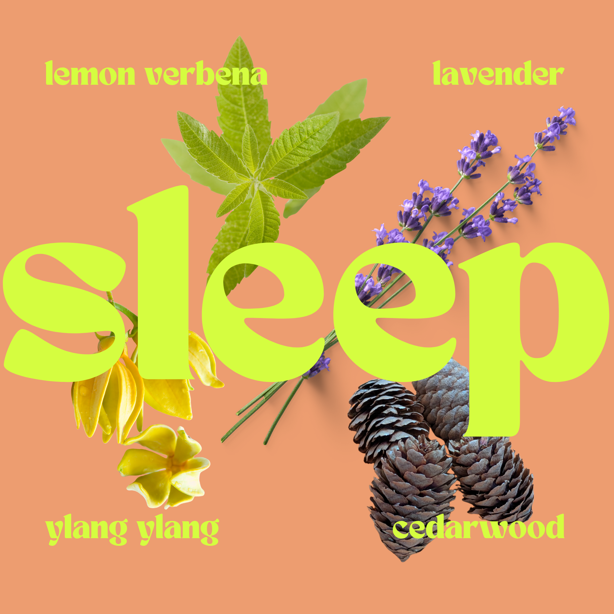 Mini candle + refill starter kit