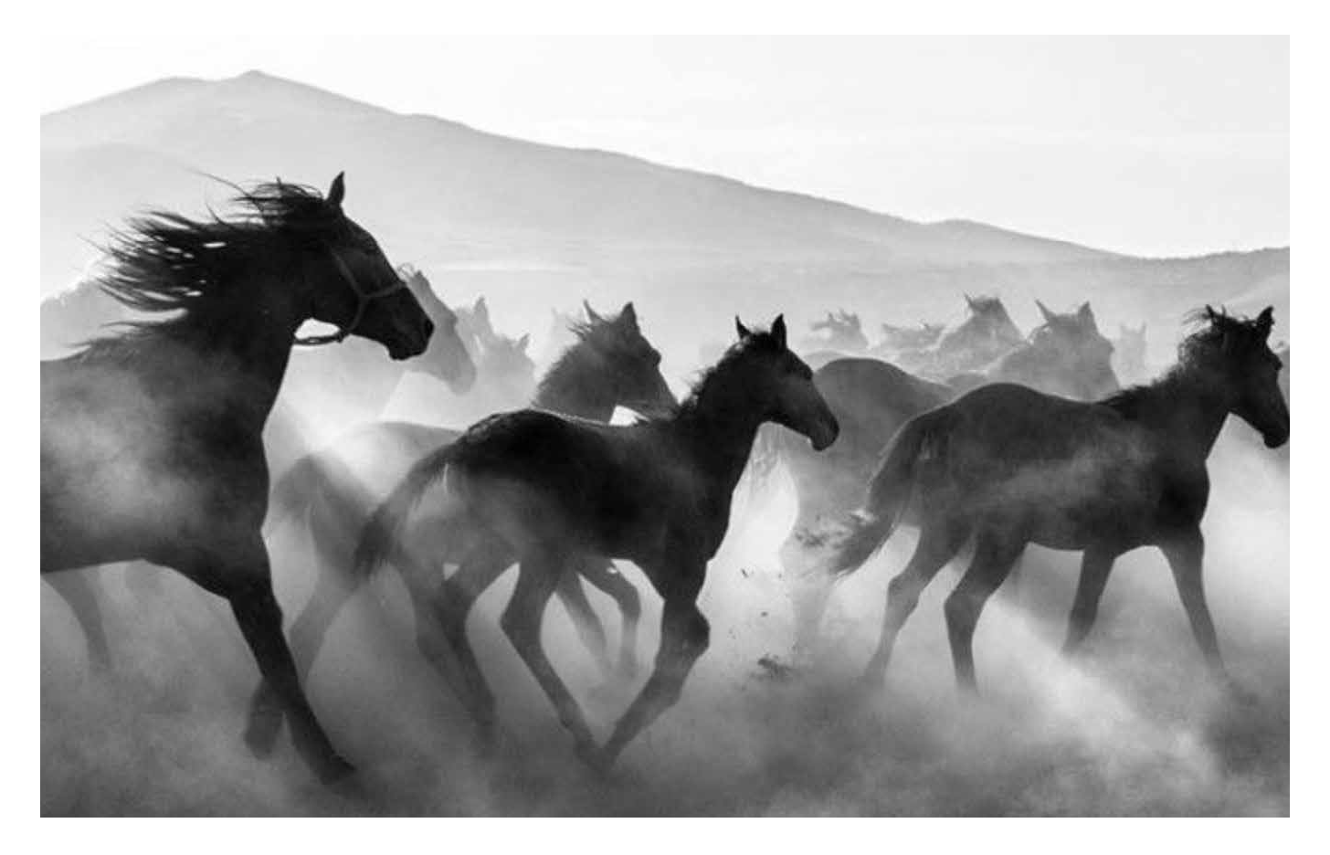 Wild Horses eau de parfum. 7.5 ml