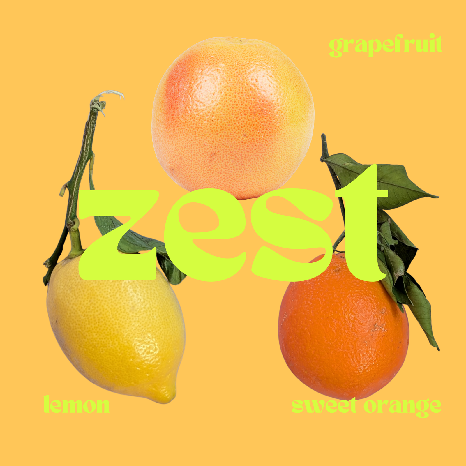 ZEST Loo Drops: Toilet Deodoriser